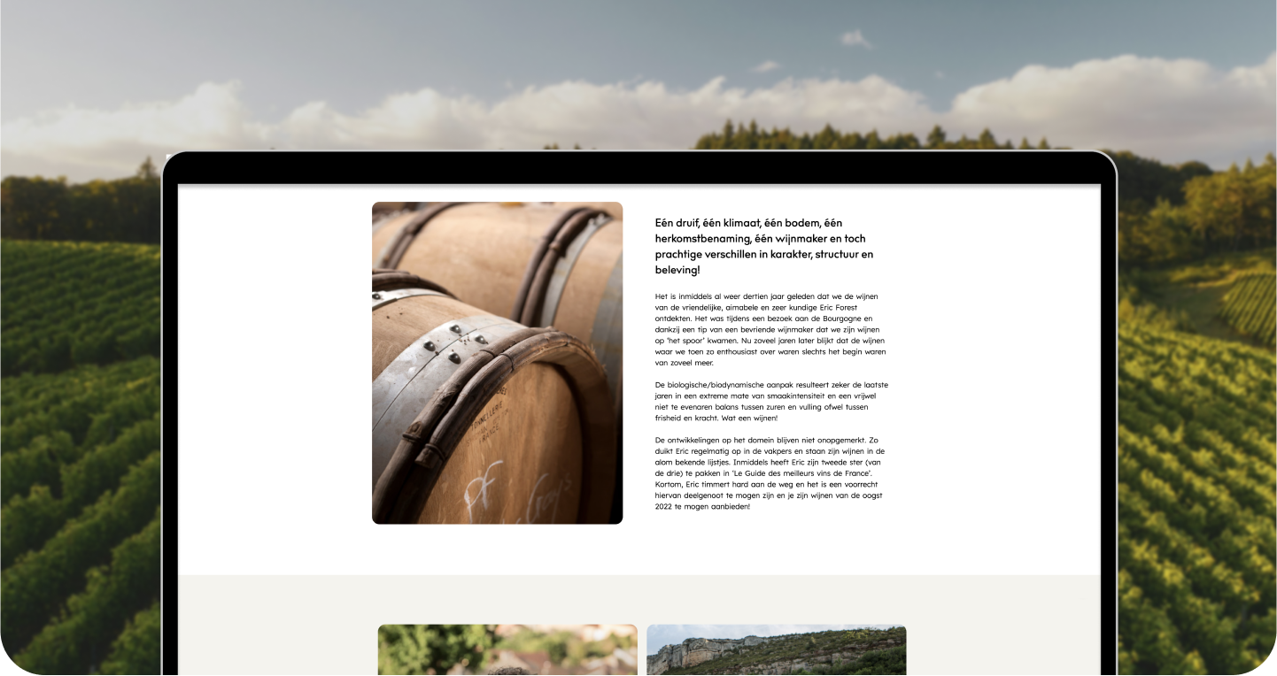 Sauter wijnen mockup website vineyard daily creative agency
