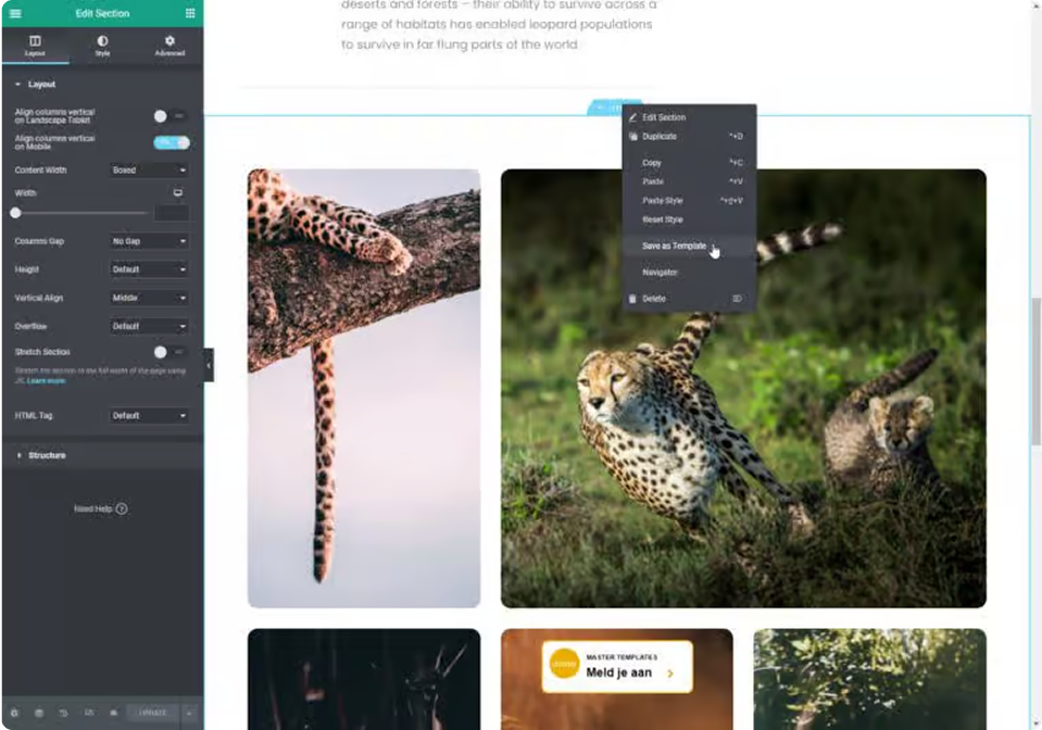 digitale magazines - Samenstellen van publicaties